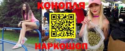 прущие грибы Новокубанск