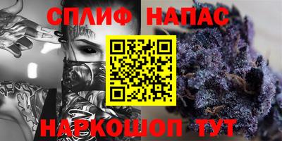 Альфа ПВП Новозыбков